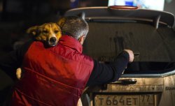 theluckyhell:  policymic:  Volunteers are saving the stray dogs of Sochi  The work is being done by grassroots organizers, who have been sneaking dogs out of Sochi to safe houses and other temporary shelters, where they can stay until they are officially