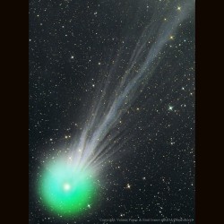 The Complex Ion Tail of Comet Lovejoy #nasa #apod #comet #ion #tail #lovejoy #space #astronomy #science
