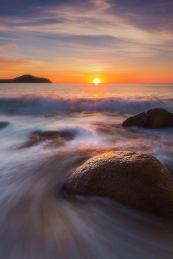 sundxwn:  King Swirl by Dylan Toh &amp; Marianne Lim