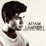  ♬ FAVOURITE ALBUMS ↳ Adam Lambert -