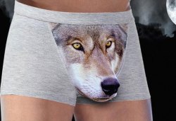  Wolf Head crotch underwear &ldquo;make man looks sexy and wild&rdquo;  