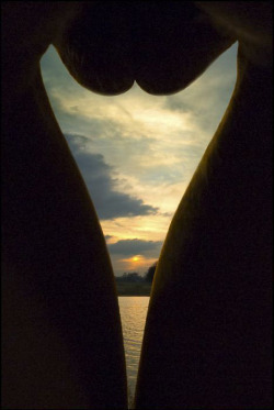 cameltoesgalore:     nice sunset. -D 