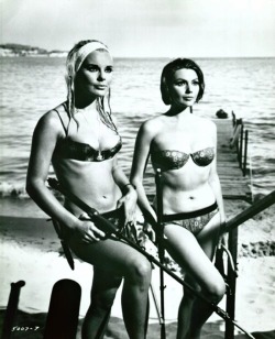 Elke Sommers &amp; Sylva Koscina - Deadlier than the Male, 1966.