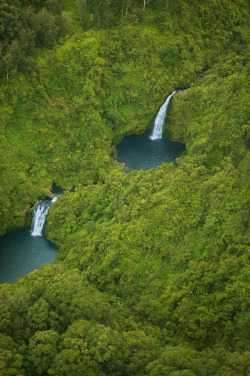 sixpenceee:Honokohau Falls in Hawaii  is said to be the tallest waterfall on Maui. It plunges in two tiers for a total of 1600 feet, making it the second highest falls in the United States 
