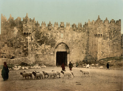 deathandmysticism:  Damascus Gate, Jerusalem, late 19th century or early 20th century