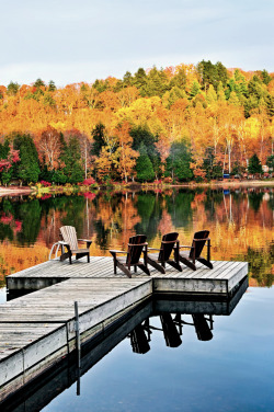 expressions-of-nature:  wooden dock on autumn lake : Elena Elisseeva 