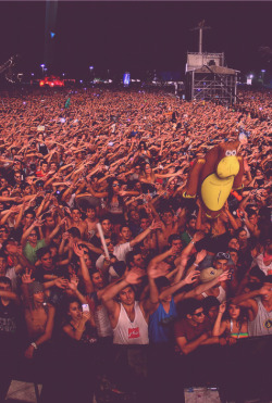rave-nation:  60,000 hands up in the air