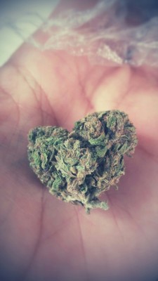 I&rsquo;m in love with good weed