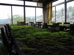 destroyed-and-abandoned:  Mossy table tops at an abandoned hotel in Japan  