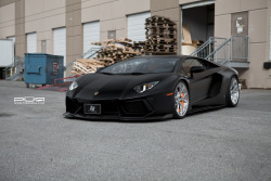 motoringexposure:  Featured Fitment: Lamborghini