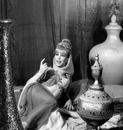 cryptofwrestling:  Barbara Eden from I Dream Of Jeannie (c.1965)