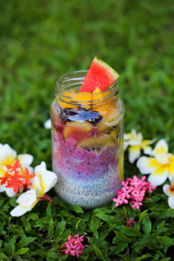 Redefiningfood:  I Love Breakfast Parfaits: Chia Seed Pudding Parfait With Blueberry