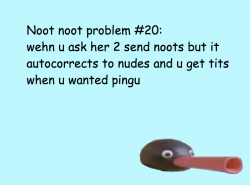 officialnoot:   why does this have so many noots 