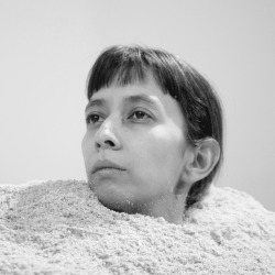 spectrumvivace:  Regina José Galindo, Desierto (2015), performance, Galería Gabriela Mistral, Santiago de Chile