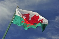 wales:  the-unpopular-opinions:  These sexuality/gender type flags are stupid and apart from the gay one, no one knows/cares what they mean.  Wait…. what? 