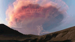 shenori:    Lightning inside a volcanic ash
