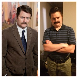 helllohartbig:  perpetualperseveration:  perpetualperseveration:  My girlfriend dressed up like Ron Swanson for halloween…  If I had more than -3 followers this picture would become an internet sensation and middle-aged parents would post it on their