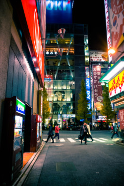 NIGHTS IN JAPAN