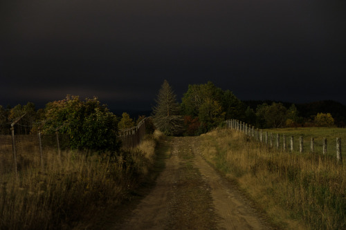 istandonsnowpiles:istandonsnowpiles:  What’s up late night folks? Here’s an eerie shot I took down a pitch black road in the middle of the night   Extracting from the original tags: this is an 8 minute exposure — it was indeed pitch black