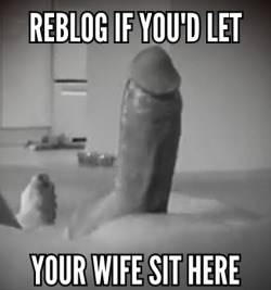 Mikecuckfun:  Ashandj:  I Would Love To See My Wife Have A Seat On His Big Dick 