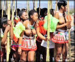   A participant of the Reed Dance Ceremony in Swaziland on 2014, by Willie C.