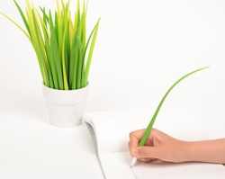 PooLeaf, Brighten up your office with these Potted Pens!