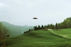 unexplainedthings:  ufo sighting 1975 - photos