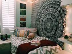 freefitty:  fitjyn:  freefitty:  back home in ye olde sorority house, featuring pillow pet and french art prints and teensy tiny terrarium  SO PRETTY  😘😘😘 