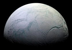 kittencrimson:   Saturn’s moon Enceladus taken by NASA’s Cassini spacecraft  
