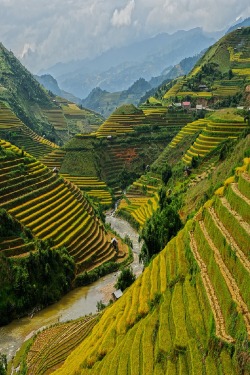 Mù Cang Chải, Vietnam