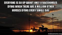 equine-awareness:  kates-horses:  Sorry those horses died, R.I.P to them, but there are a million other horses dying. Where’s their memorial?   A large percentage of those horses are rejects from the racing industry though. On the track or in a slaughter