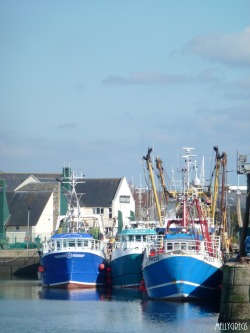 mellygregs:  Blue.Plymouth Harbour. UK.March