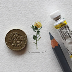coolthingoftheday:  Artist Lorraine Loots creates tiny paintings of everyday objects as part of a project, “365 Postcards for Ants”.Check out her project here: [x]