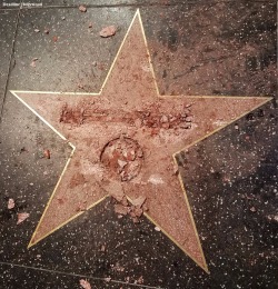 adurot:danguy96:curiooftheheart:shantell:nbcnightlynews:NEW: Donald Trump’s star on the Hollywood Walk of Fame vandalized. bit.ly/2eaGEUT  Loving itWhat the fucking hell? Vandalism is bad you Shit stains. Regardless of what you’re vandalizing. Also
