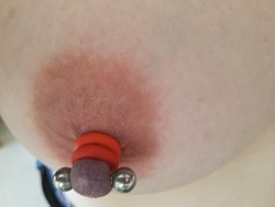 nipplepain78:  Loving wearing 2 castration bands, they hurt in