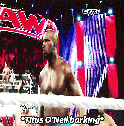 barelyseeing:   Everyone knows that Roman is pretty even Titus      