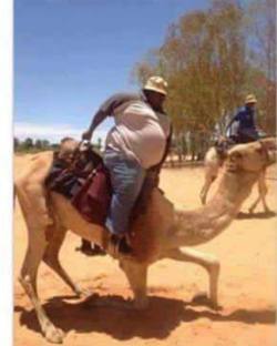 Harlemradiorema:  Tell Me What Is This Camel Thinking???… (At Pennsylvania Station)