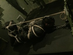 reconmarm77:  Me tied up at thebunker.london  