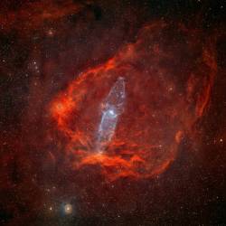 A Giant Squid in the Flying Bat #nasa  #apod #nebulae #nebula #giantsquid #Ou4 #Sh-129 #flyingbat #constellation #cepheus #ionization #gas #oxygen #hydrogen #stars #universe #interstellar #milkyway #space #science #astronomy