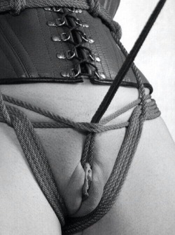 female-orgasm-denial:  Now that’s what we want to see. A nice tight crotch rope.Just try cumming with THAT on.