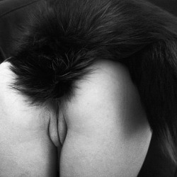 scarlet-musings:poeticsir:  Fucking love the tail  Don’t I know it! 