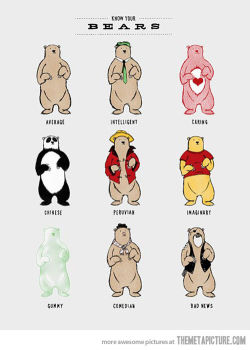 imgfave:  Posted by allfunnypic  Know your bears :-)