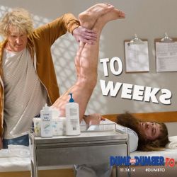 dumbtomovie:  In to weeks, dumb hits the fan! Don’t miss Dumb and Dumber To, in theaters November 14! #DumbTo 