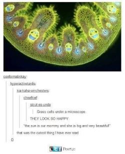 @robdog1175  Happy lil grass cells.  #meme #tumblr #tumblrposts #grass #happy #grass #grasscells #cute