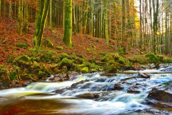 sapphire1707:  River-Ilse Harz- | by tim-lee-rookie-photograph | http://ift.tt/1z8Yujo