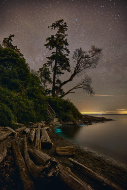 outdoormagic:  Arbutus Cove Star Gazing by