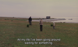 timotaychalamet: The Sacrifice (1986) dir. Andrei Tarkovsky
