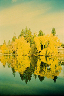 Afemalesolotraveler:  Thedalailomo:  Mirror Pond . Bend, Oregon [Lc-A R . Fujichrome