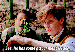 chaneloberlyn: #do you ever just want to cry because of how much Newt Scamander loves and adores his creatures #and how he looks at them, talks to them and treats them with such genuine care and affection