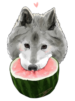 i really really like this photo of a wolf eating a watermelon, like literally nothing else makes me as happy as looking at this dumb melon wolf  so i traced it so i could make it a tshirt and stickers and put it on everything, it needed to be perf so